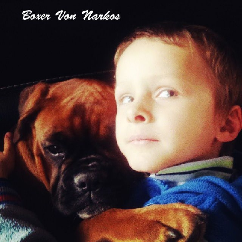 Boxers en famille